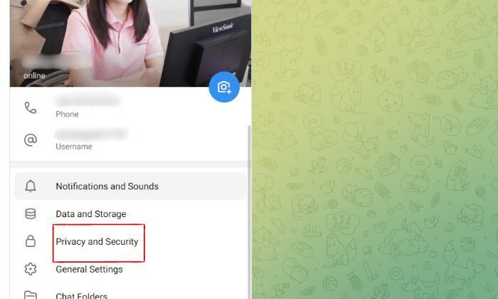 Click “Privacy and Security”